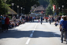 Eidgenössisches Schwing- und Älplerfest, Swiss Wrestling