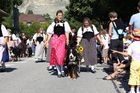 Eidgenössisches Schwing- und Älplerfest, Swiss Wrestling