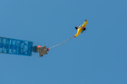 Bungee Jumping: Weltrekordsprung mit implantierter Linse