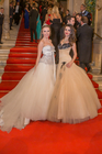Wiener Opernball 2015