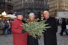 Landwirtschaftskammer Niederösterreich - Tannenreisig für den Stefansdom - Abgeordneter zum Nationalrat Ing. Hermann Schultes und seine Crew verteilen Tannenreisig vor dem Stefansdom