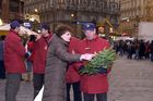 Landwirtschaftskammer Niederösterreich - Tannenreisig für den Stefansdom - Abgeordneter zum Nationalrat Ing. Hermann Schultes und seine Crew verteilen Tannenreisig vor dem Stefansdom