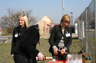 'Spatenstich 07-04-2006 - Quehenberger baut neues Logistikzentrum in Enns':  - Foto: www.iManufaktur.at