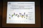 Präsentation des GfS-Gesundheitsmonitors 2006 mit Claude Longchamp,Leiter GfS.bernKrankenversicherungen: Mehr Planung oder mehr Markt - es zeichnet sich eine Trend ab...