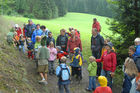 Das neue Schlaraffenland im Zauberwald 