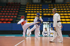 Europäischer Shaolin Wushu Verband präsentiert Shaolin Wushu 30.4.2010 (c) julia fuchs für fotodienst, am Bild: Taekwondo